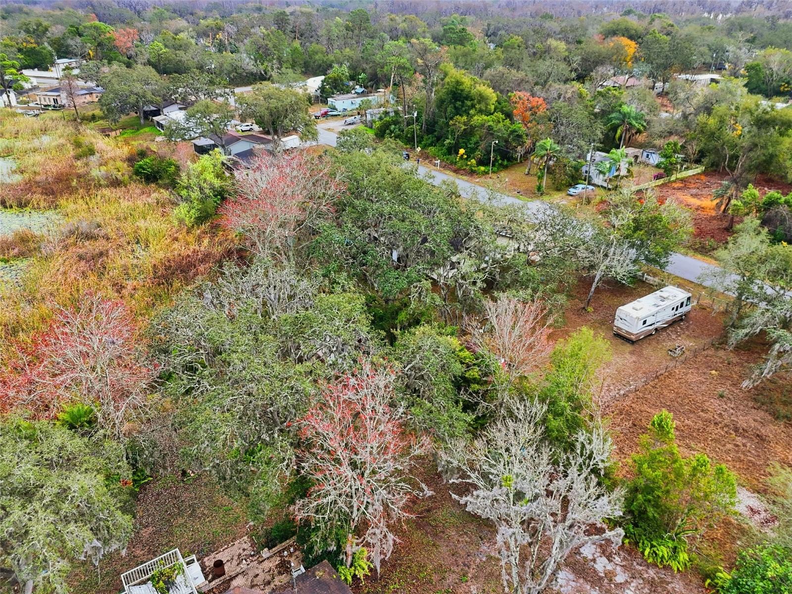 Image 44 of 46 For 12227 Terra Ceia Avenue