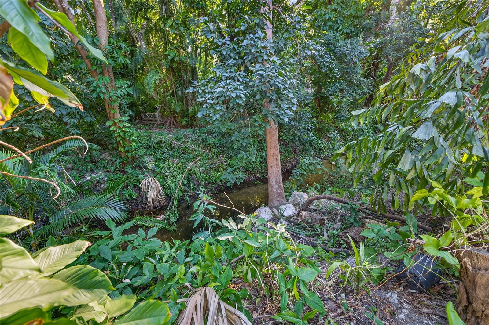 Image 43 of 50 For 1581 Alexander Road