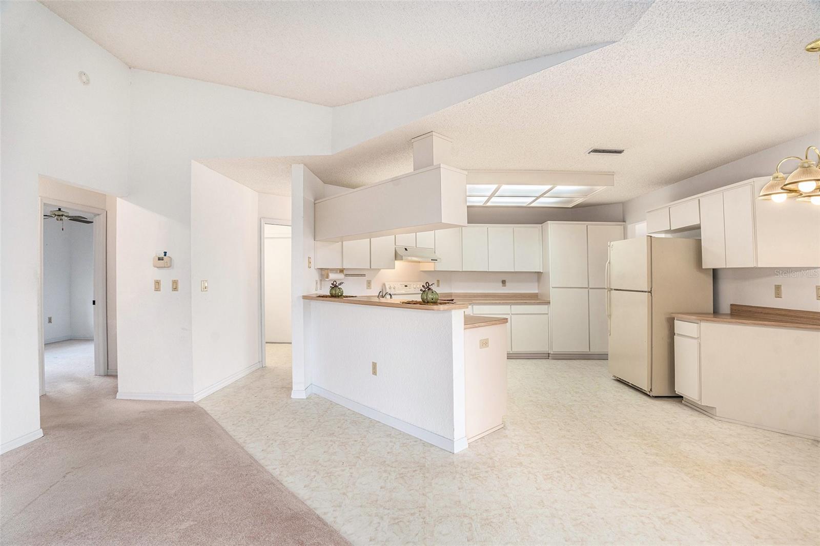 Image 7 of 27 For 1247 Venetia Drive