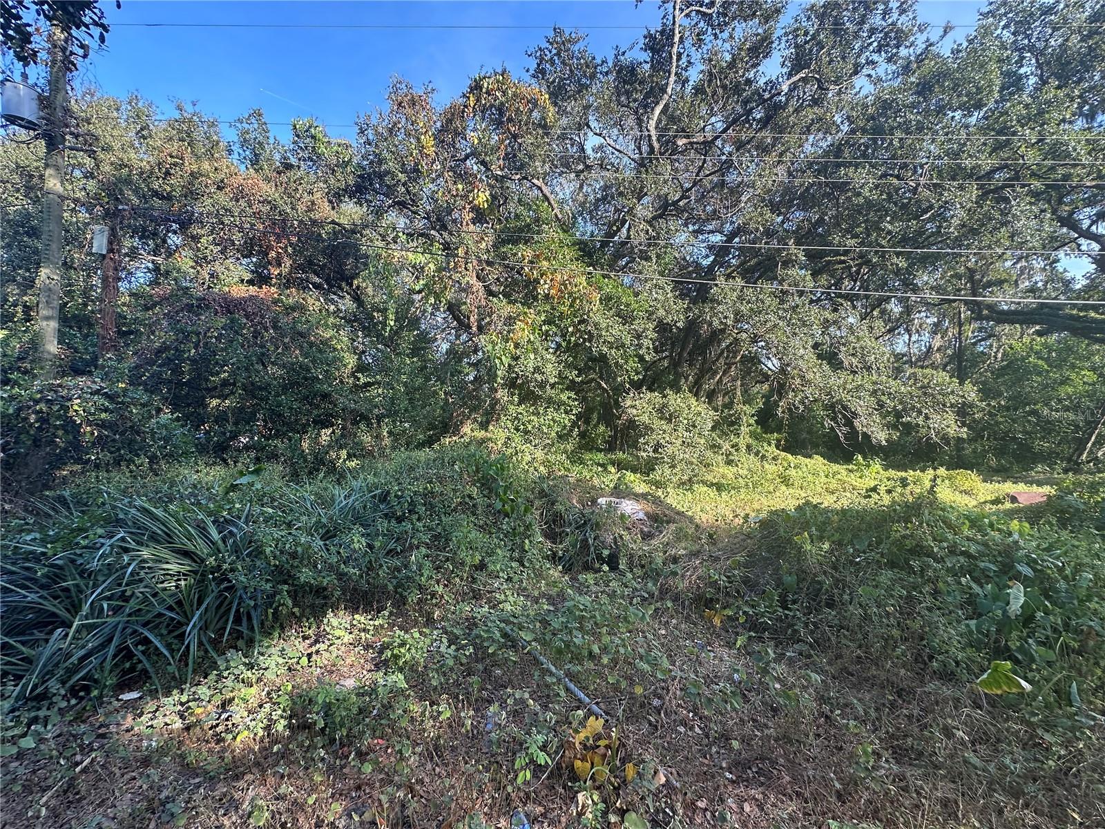 Details for 11911 Leroy Sheppard Road, THONOTOSASSA, FL 33592