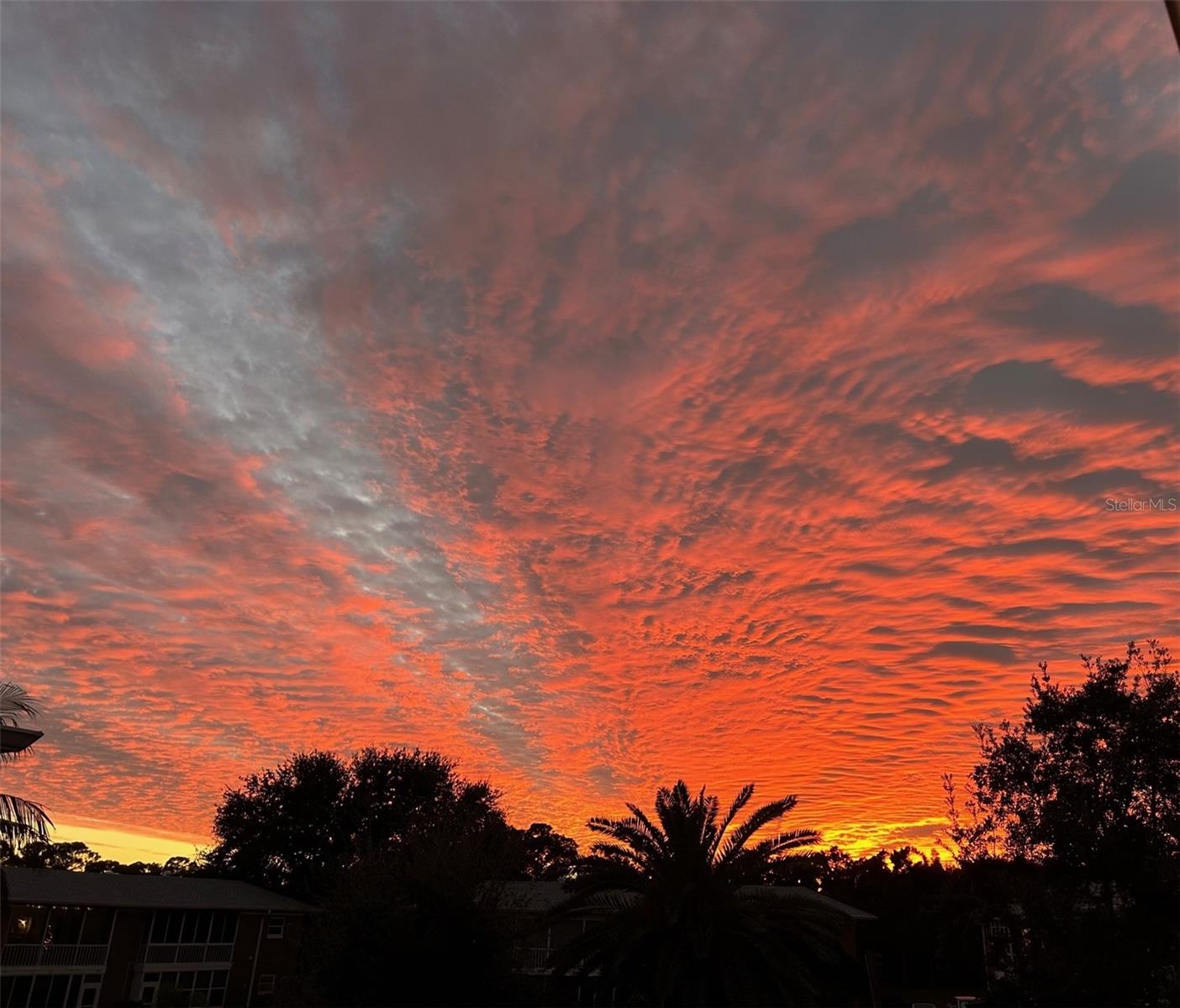 Image 2 of 76 For 3947 35th Way S 131