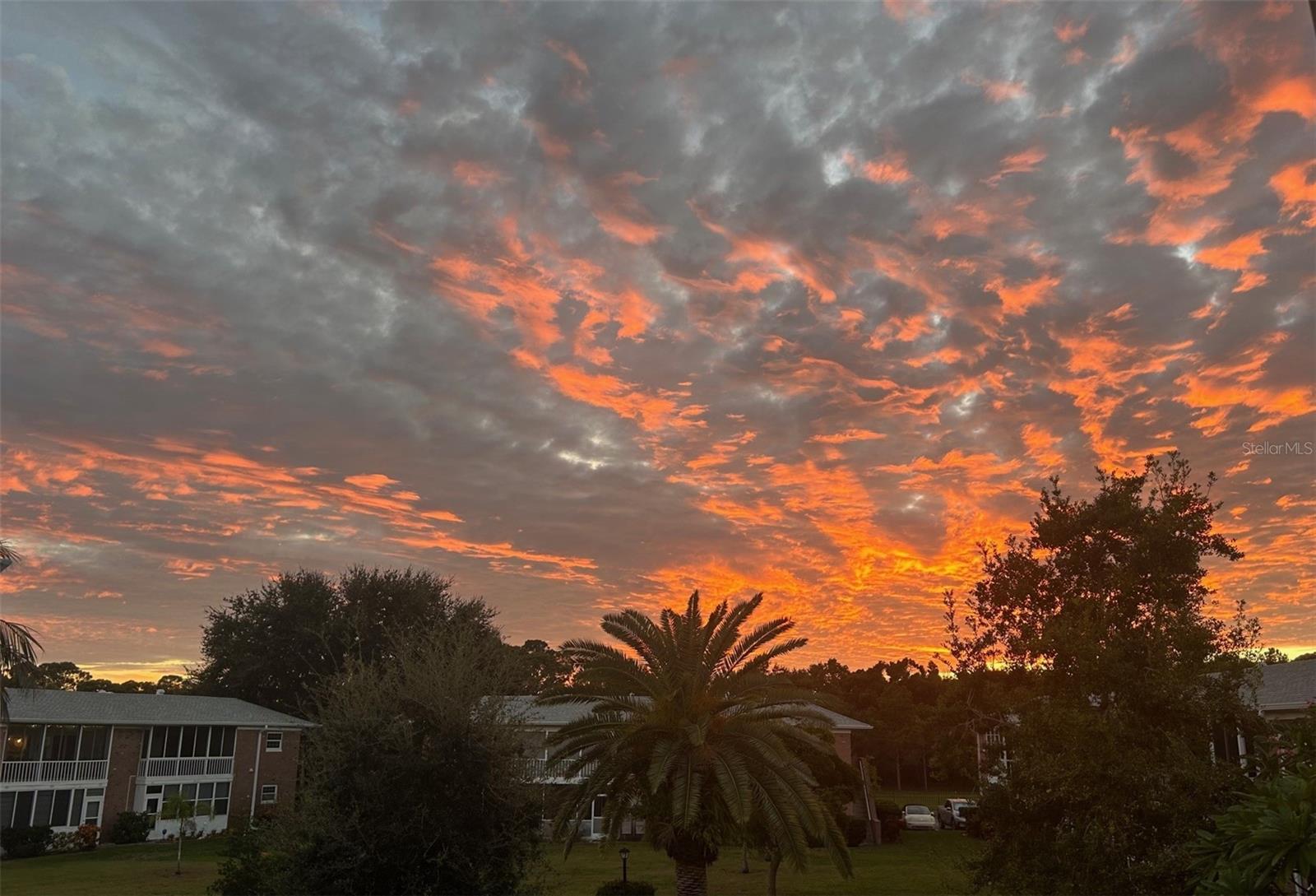 Image 57 of 76 For 3947 35th Way S 131