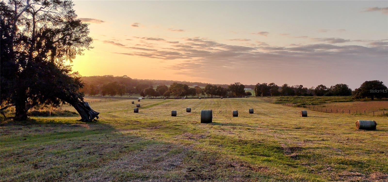 Details for 0 Pleasant Grove Road, INVERNESS, FL 34452