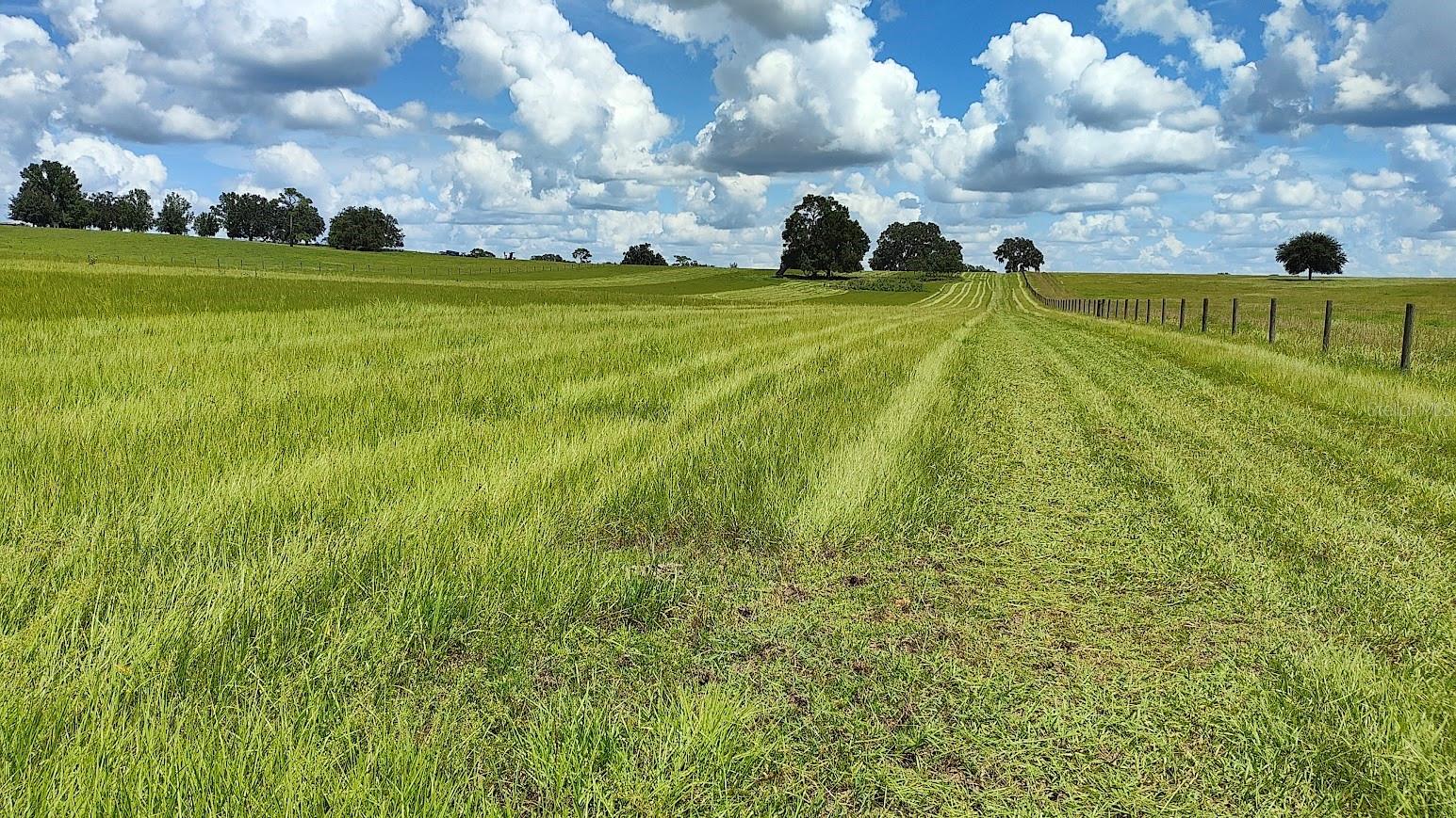 Image 3 of 12 For 0 Pleasant Grove Road