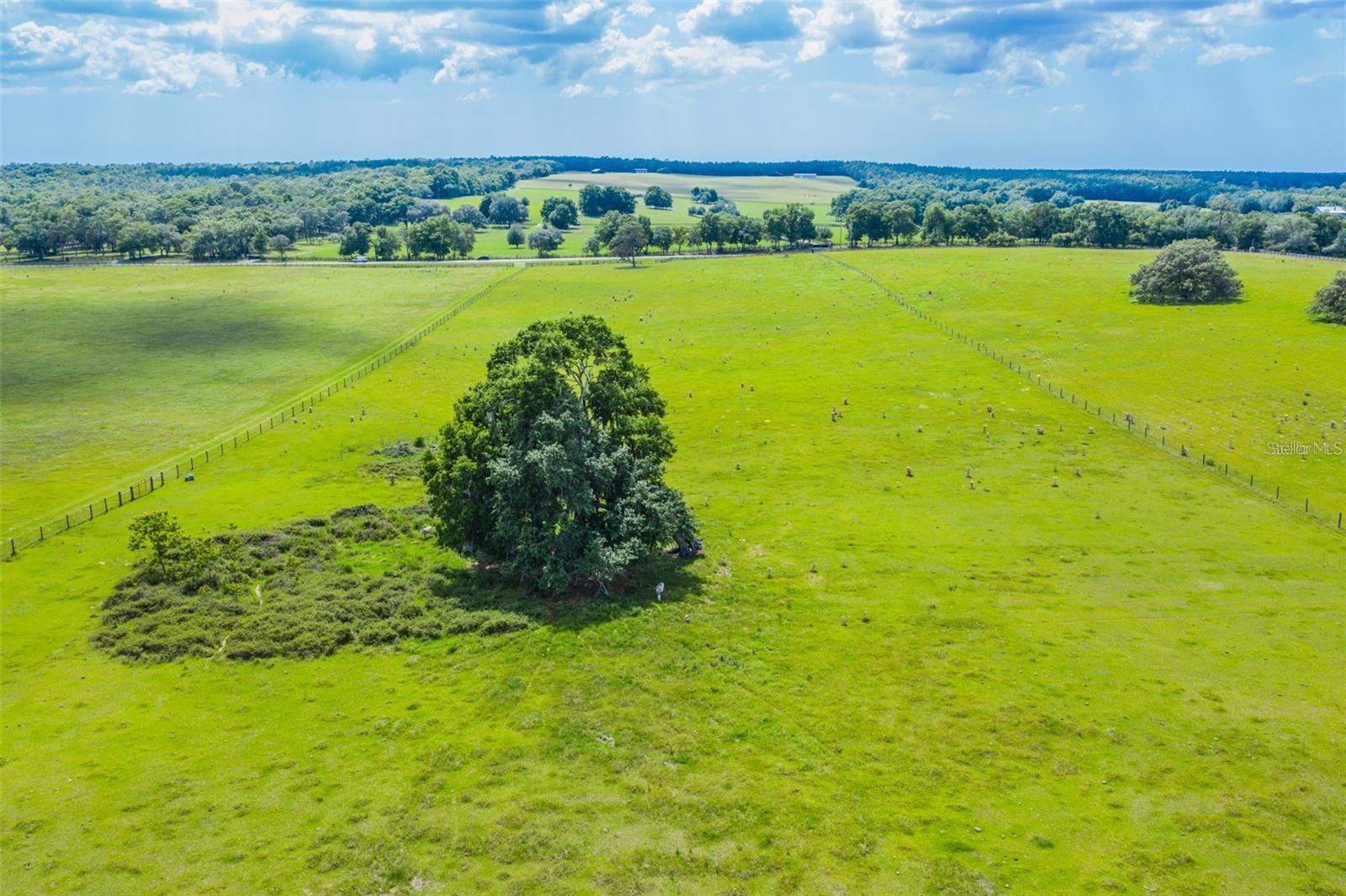 Image 4 of 12 For 0 Pleasant Grove Road