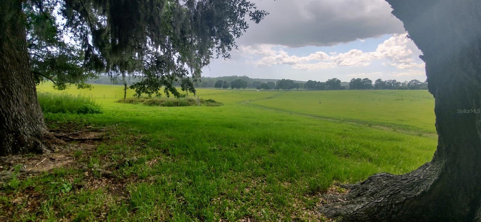 Image 6 of 12 For 0 Pleasant Grove Road