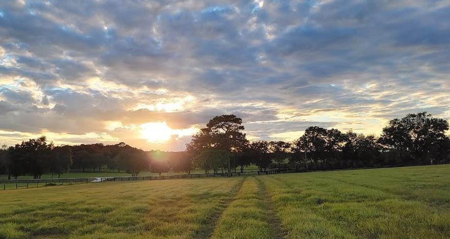 Image 7 of 12 For 0 Pleasant Grove Road