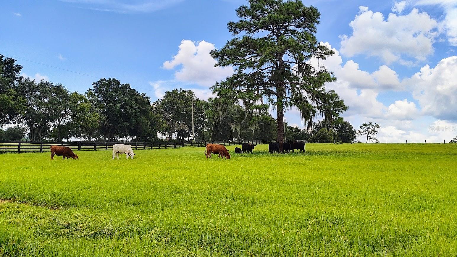 Image 9 of 12 For 0 Pleasant Grove Road