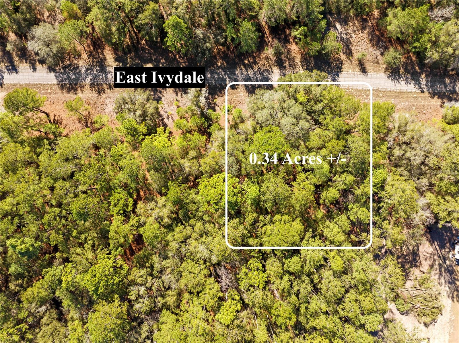 Details for 1783 Ivydale Drive, DUNNELLON, FL 34434