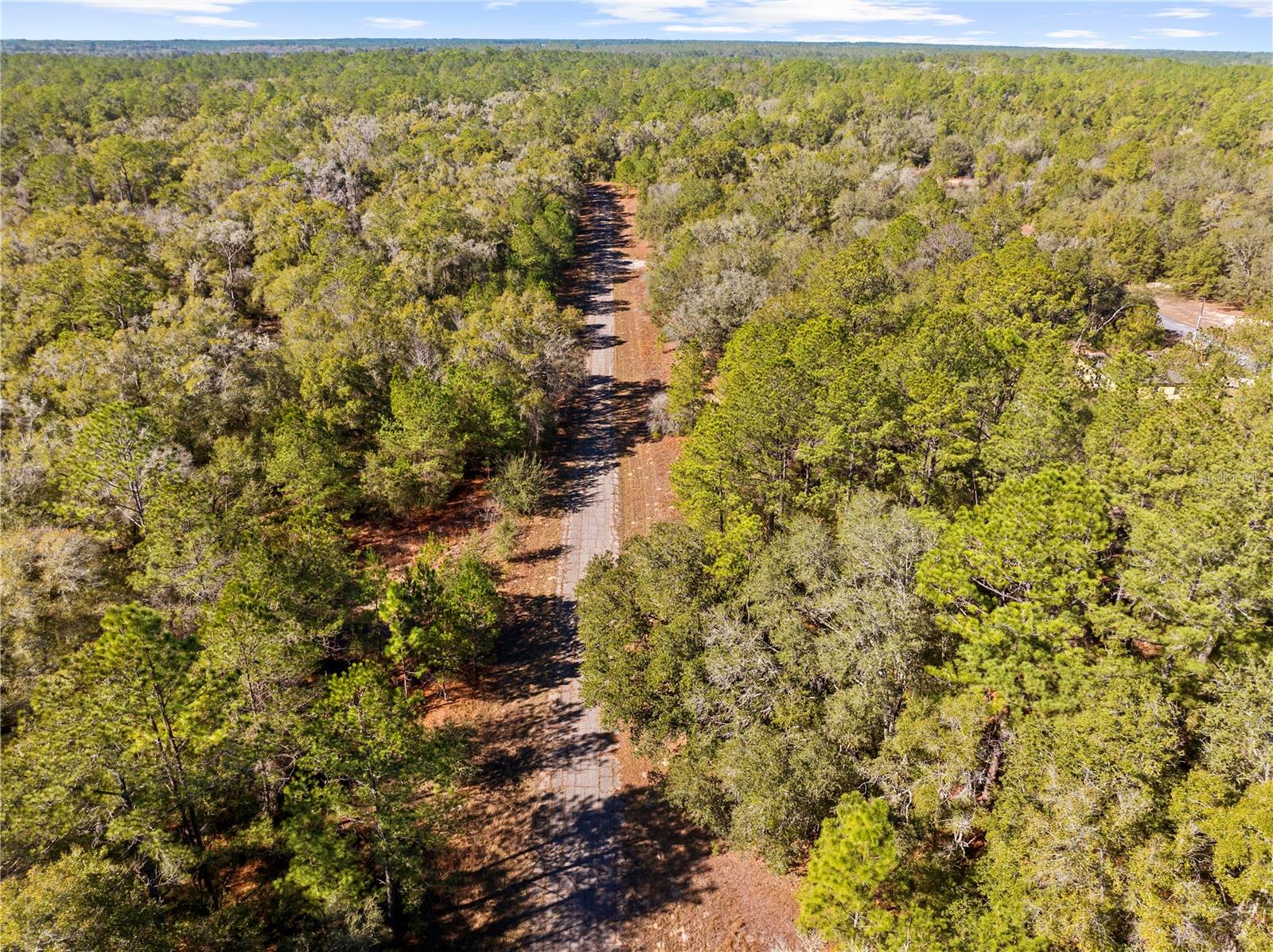 Listing photo id 9 for 1783 Ivydale Drive