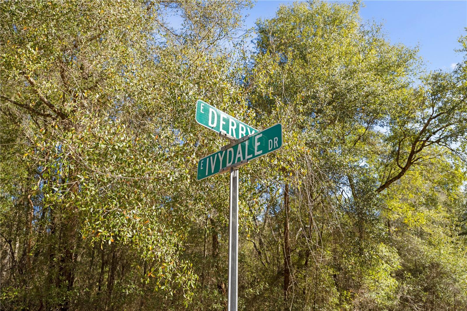 Listing photo id 10 for 1783 Ivydale Drive