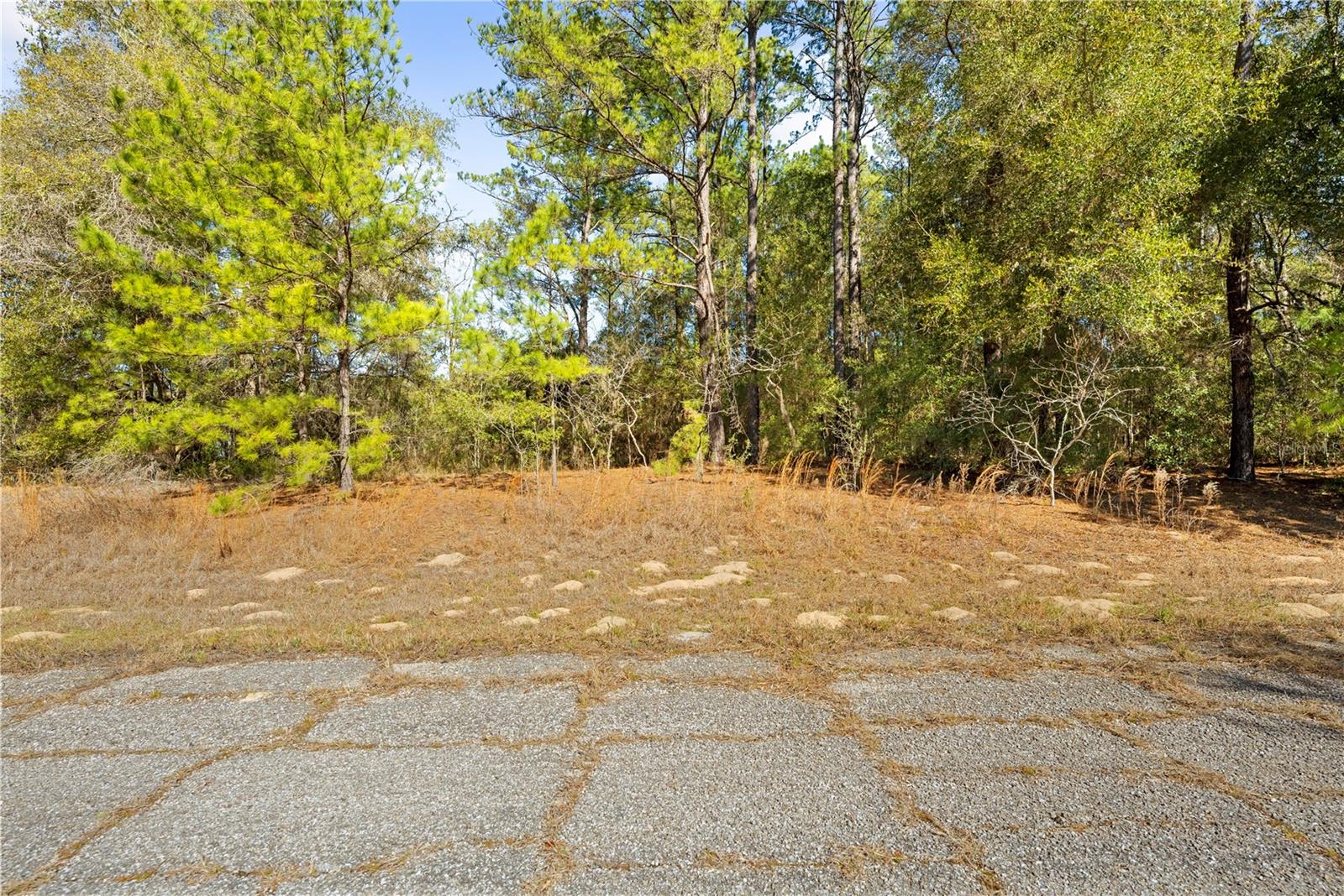 Listing photo id 12 for 1783 Ivydale Drive