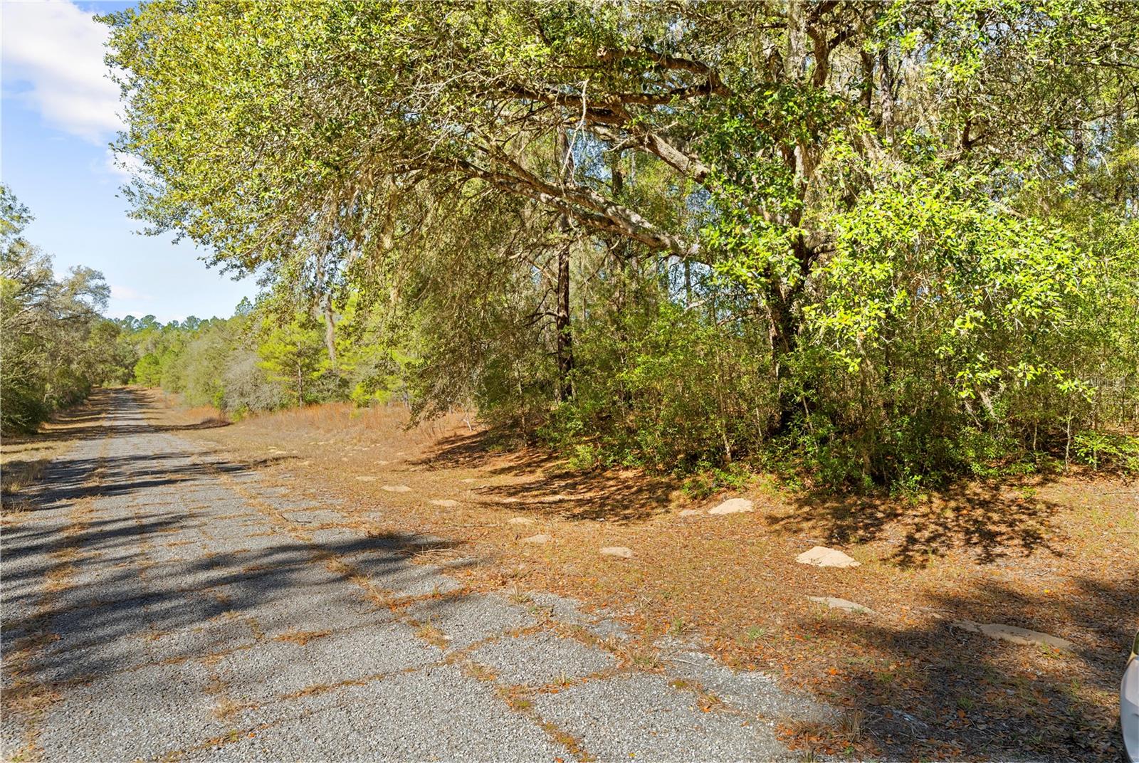 Listing photo id 13 for 1783 Ivydale Drive