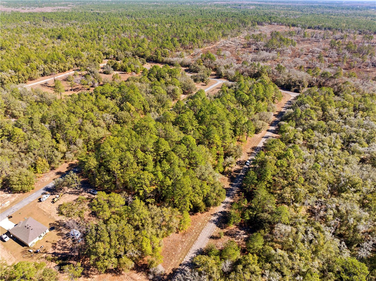 Listing photo id 3 for 1783 Ivydale Drive