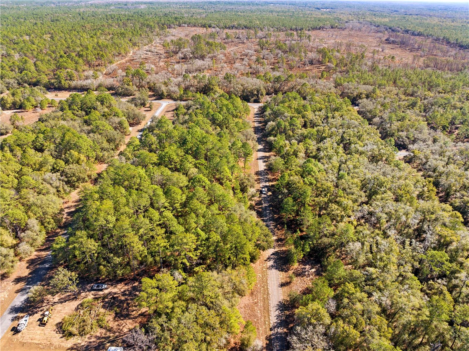 Listing photo id 5 for 1783 Ivydale Drive