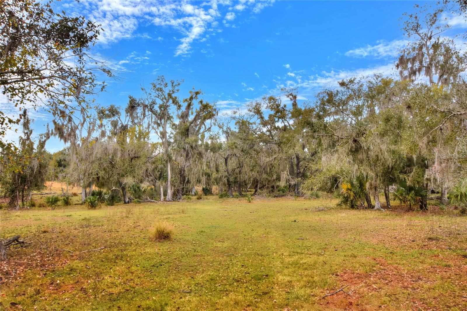 Image 5 of 10 For 0 Colding Loop