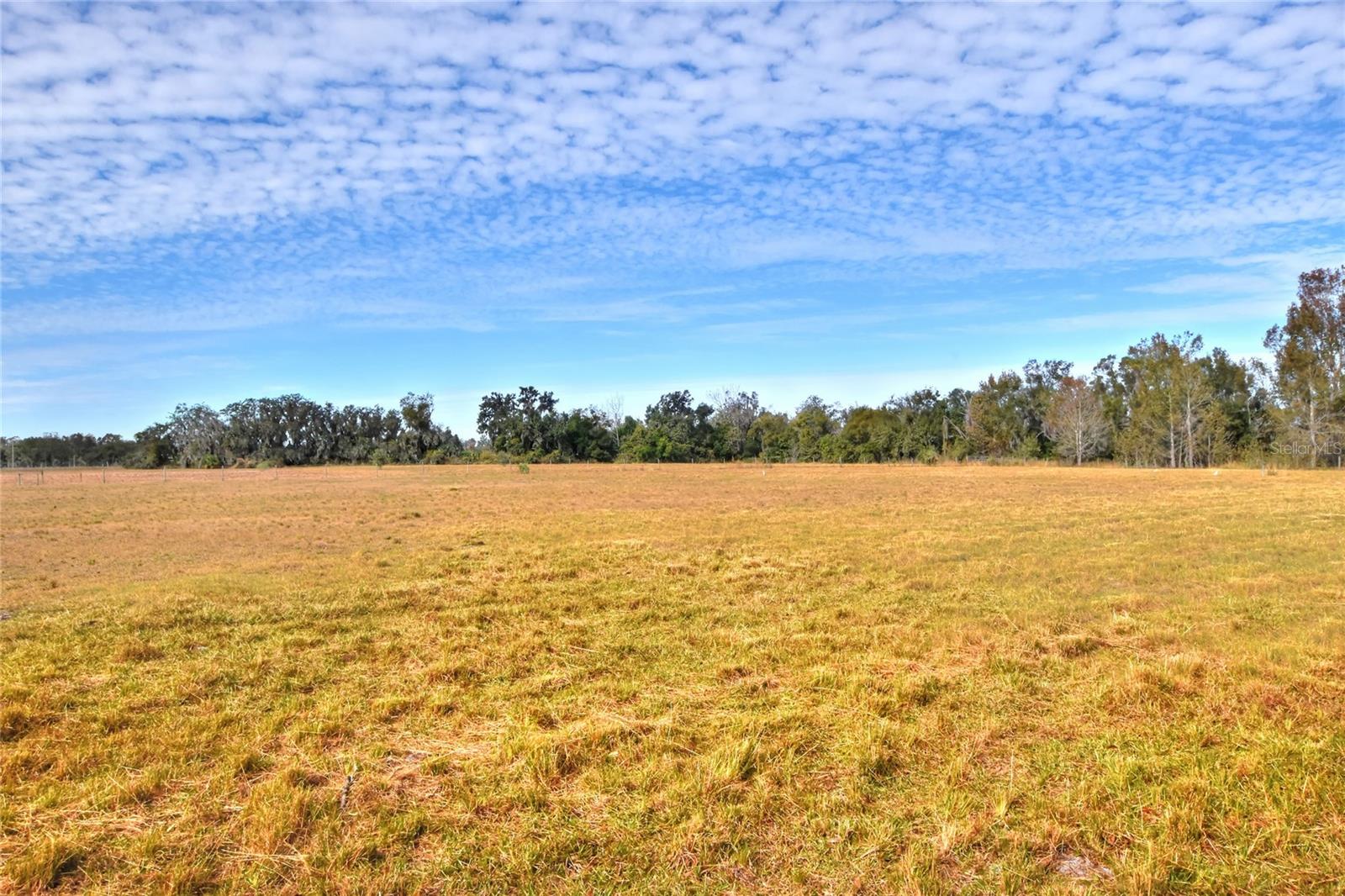 Image 9 of 10 For 0 Colding Loop