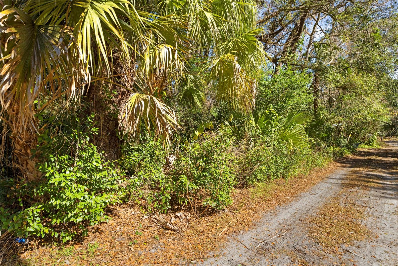 Image 14 of 16 For 9355 Tin Pan Alley