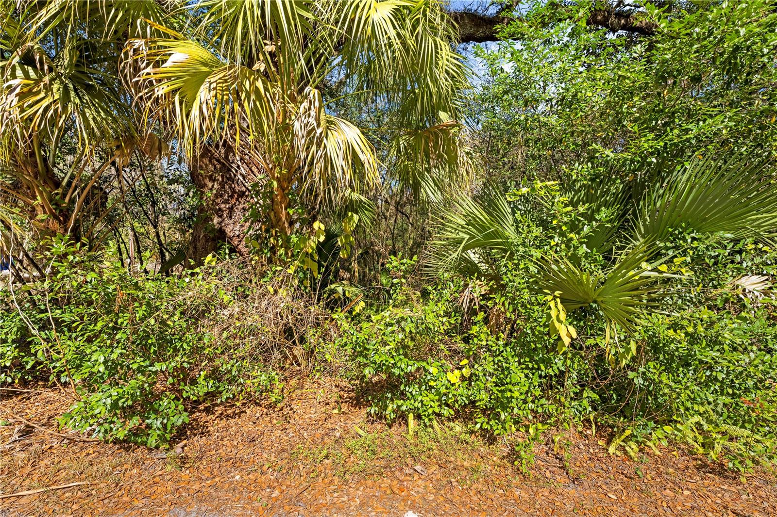 Image 15 of 16 For 9355 Tin Pan Alley