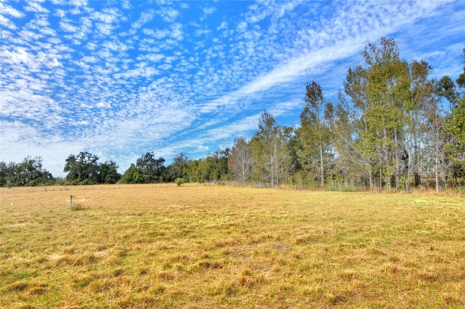 Image 7 of 10 For Colding Loop
