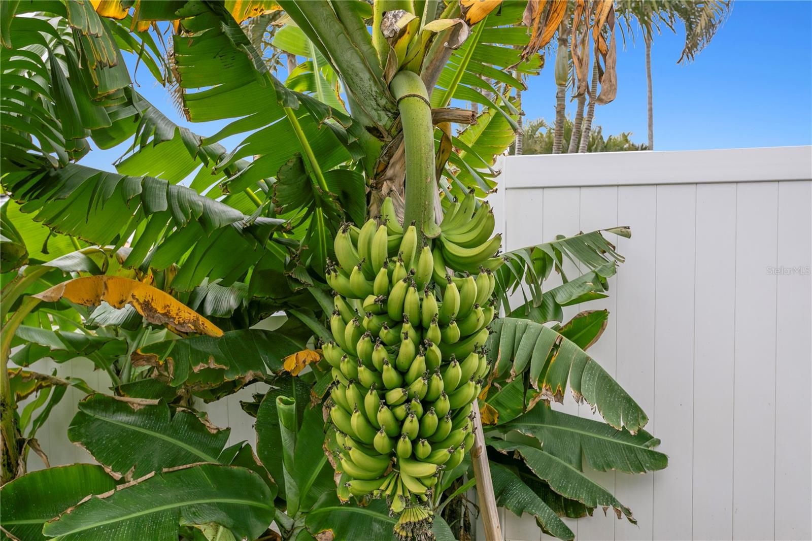 Image 65 of 97 For 3912 46th Avenue S