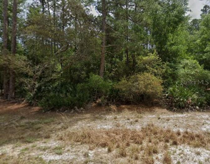 Details for 131 Edgemere Drive, GEORGETOWN, FL 32139