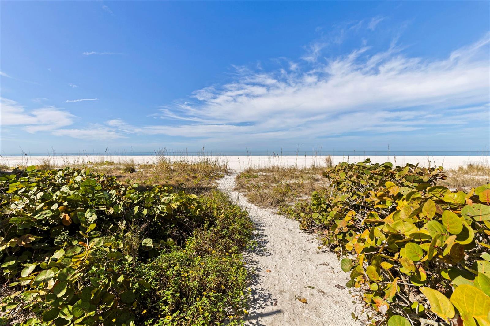 Image 33 of 45 For 1350 Gulf 704