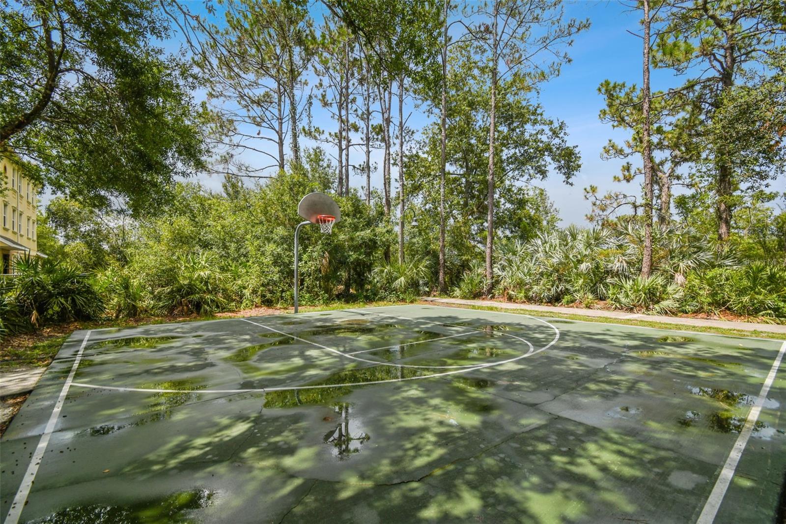 Image 92 of 92 For 10122 Whisper Pointe Drive