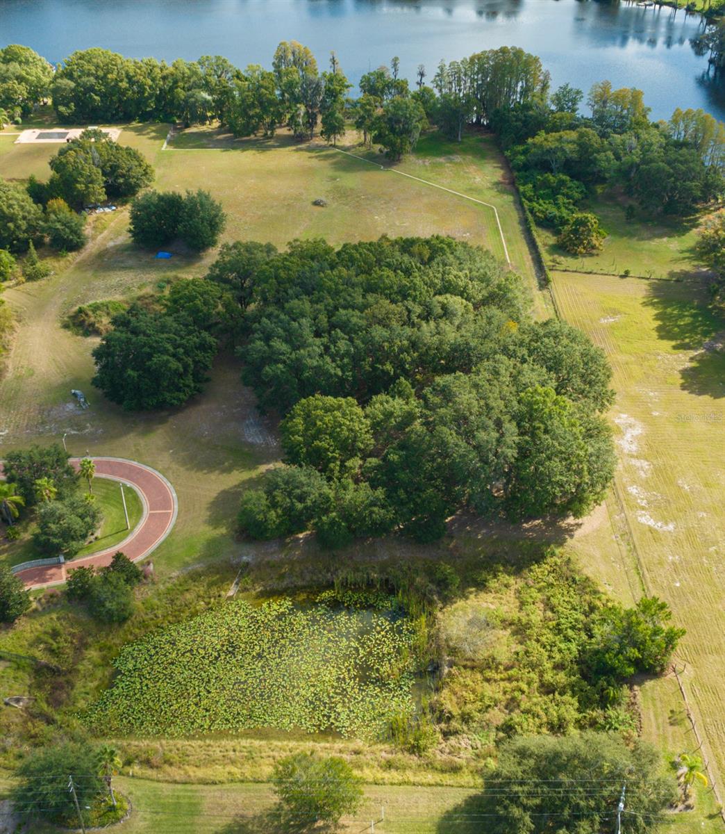 Image 3 of 12 For 109 Bellamere Palms Court