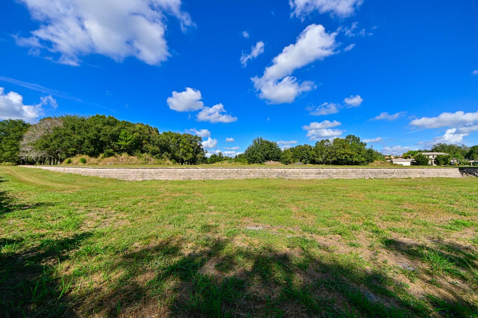 Image 8 of 12 For 109 Bellamere Palms Court