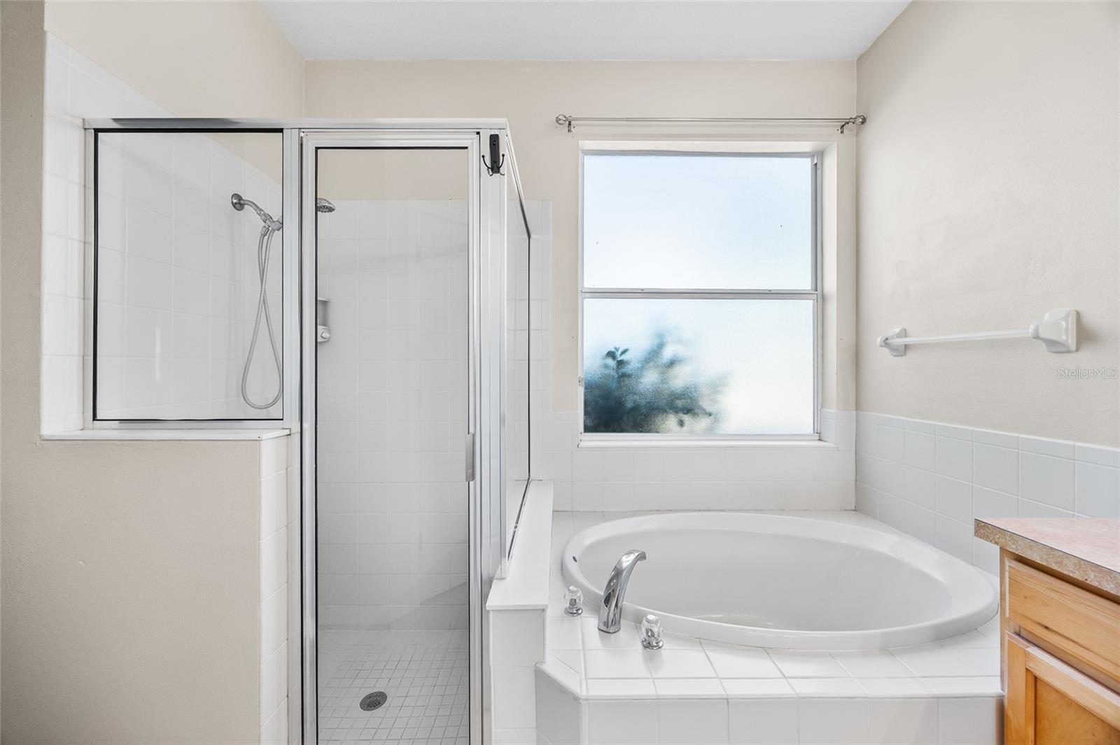 Image 25 of 43 For 8806 Sandy Plains Drive