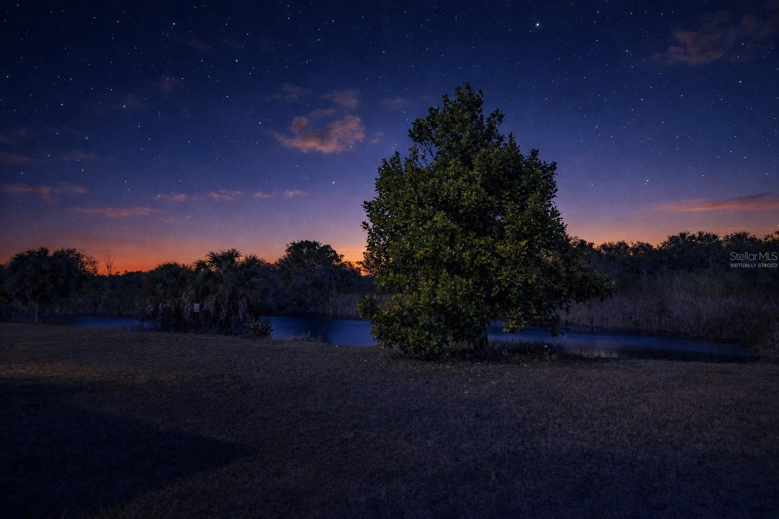 Image 38 of 43 For 8806 Sandy Plains Drive