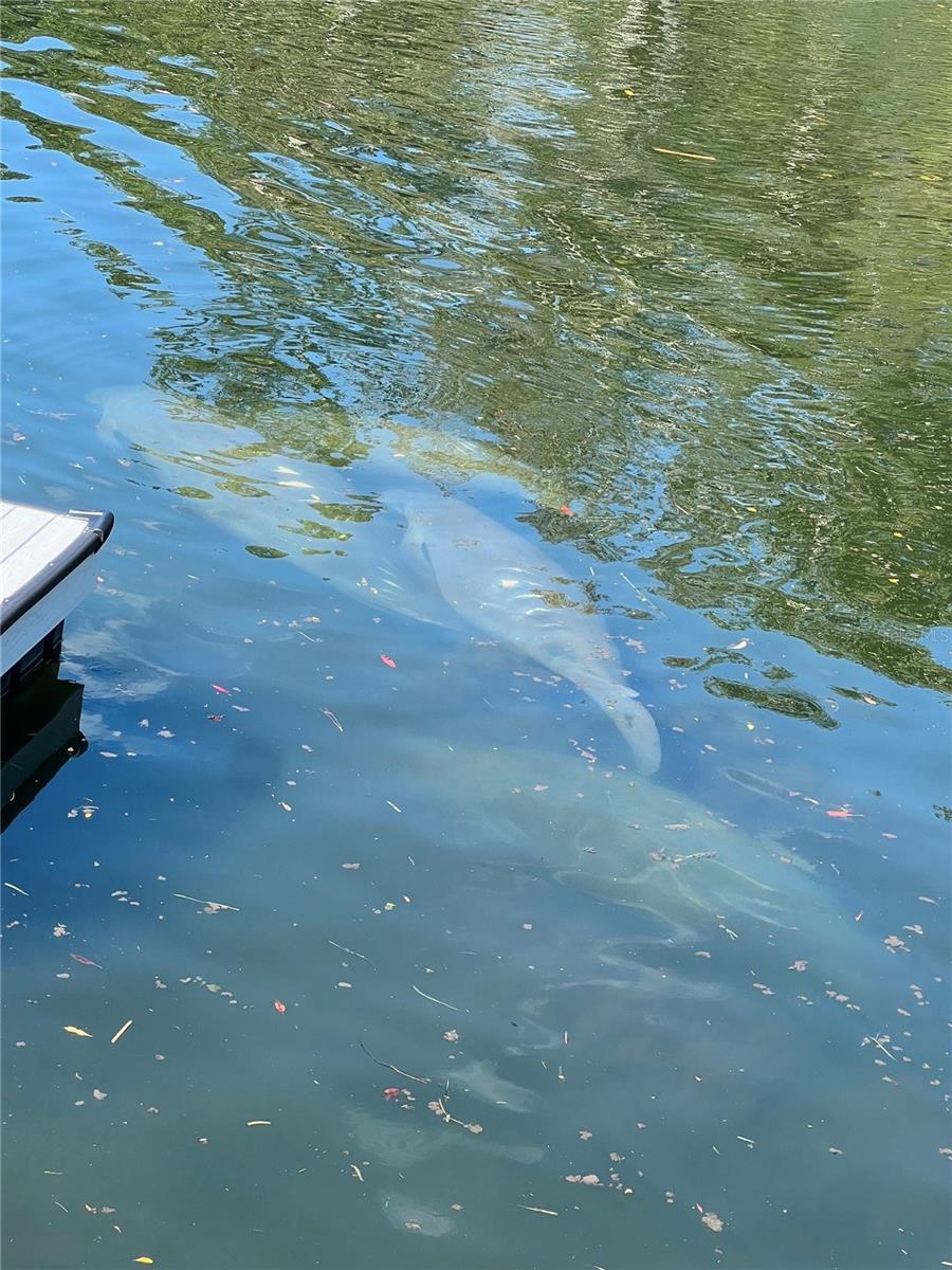 Listing photo id 35 for 7266 Tropical Drive