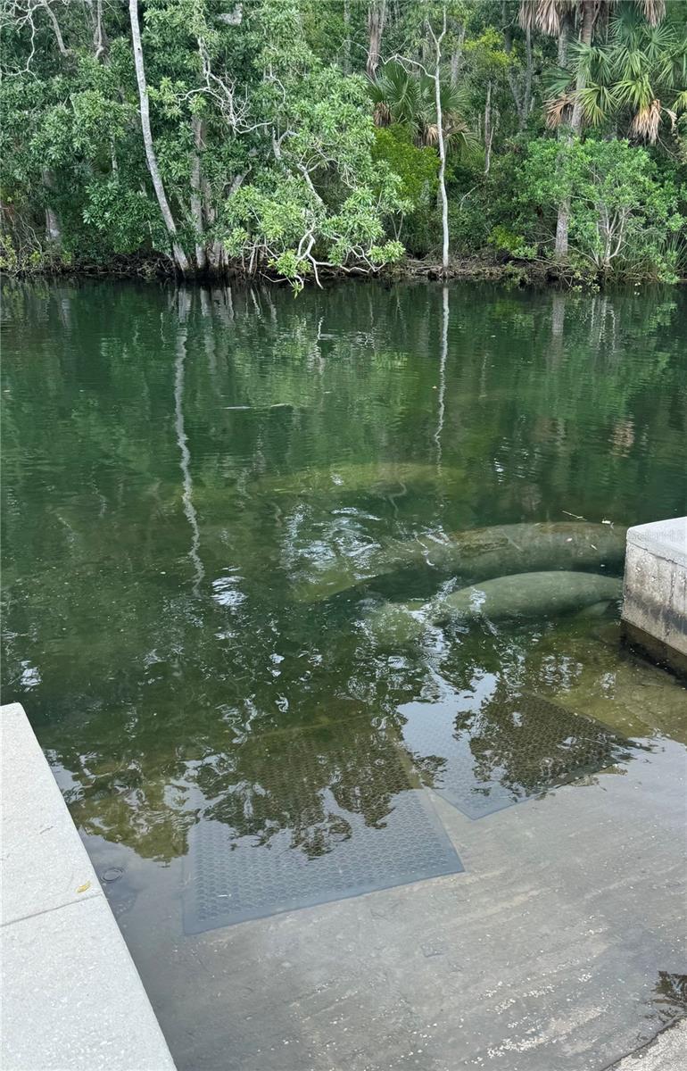 Listing photo id 36 for 7266 Tropical Drive