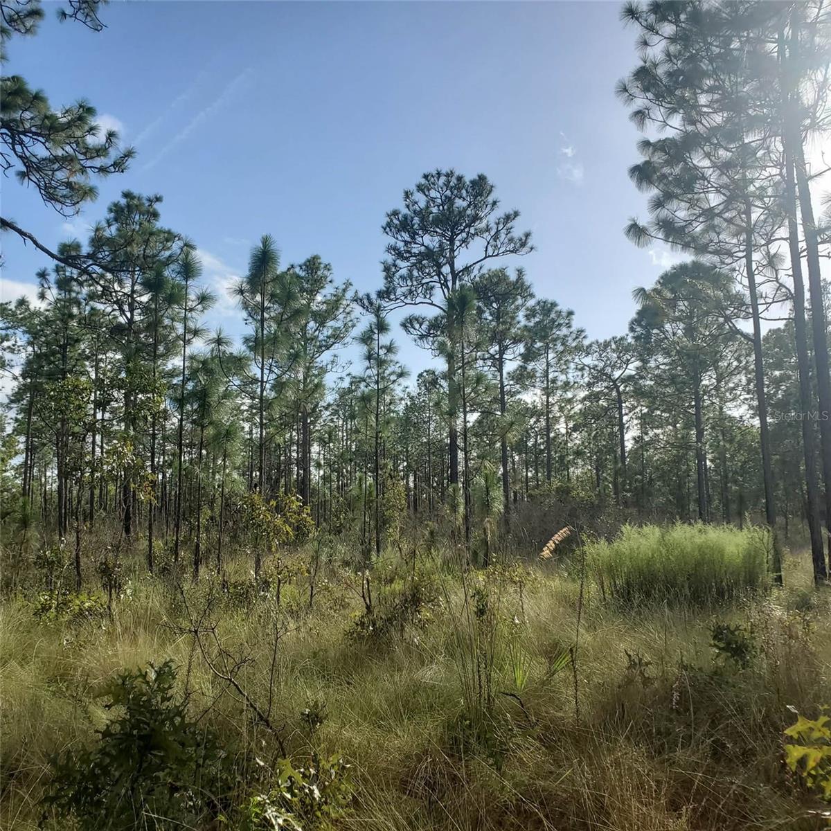 Image 66 of 72 For 24905 130th Street