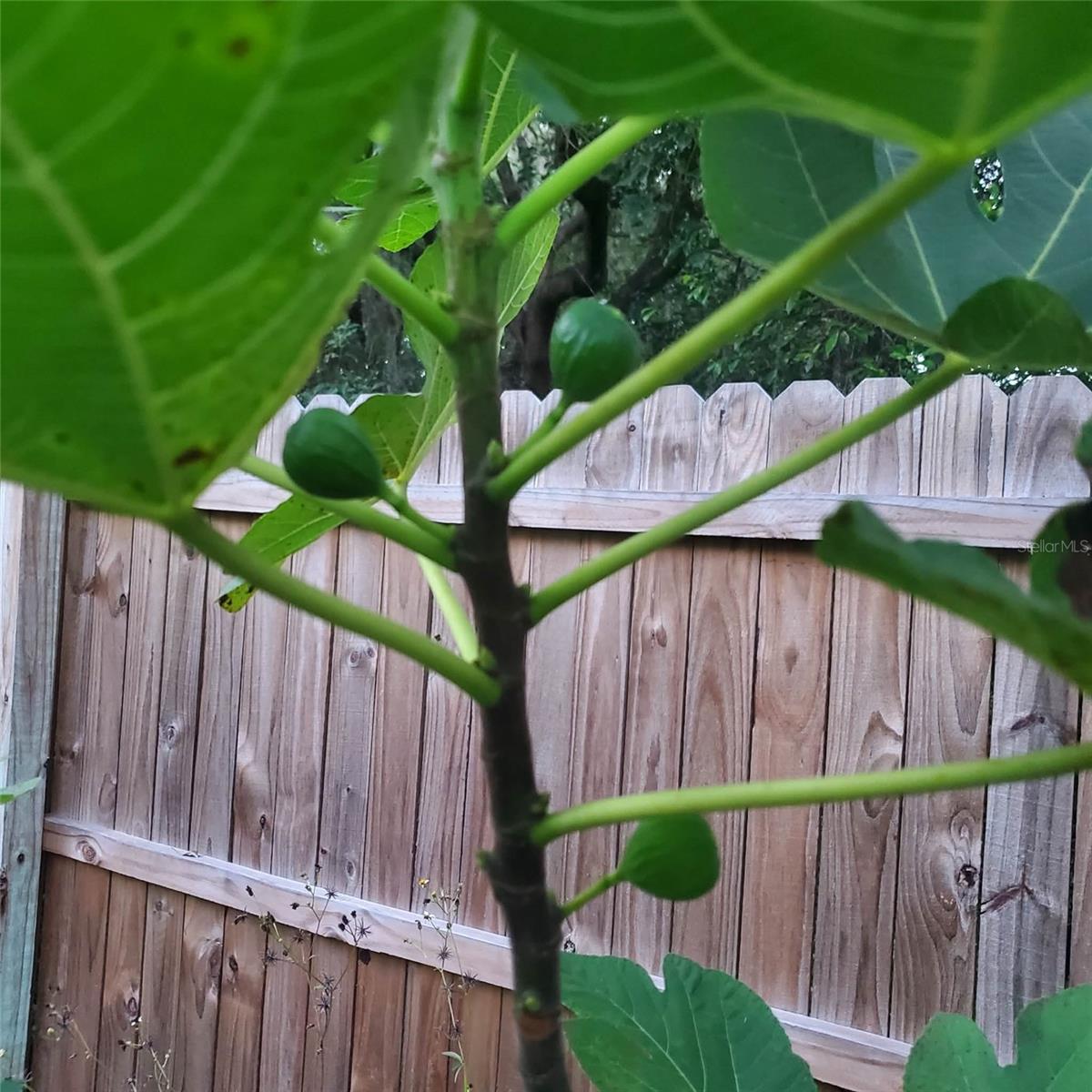 Image 67 of 72 For 24905 130th Street