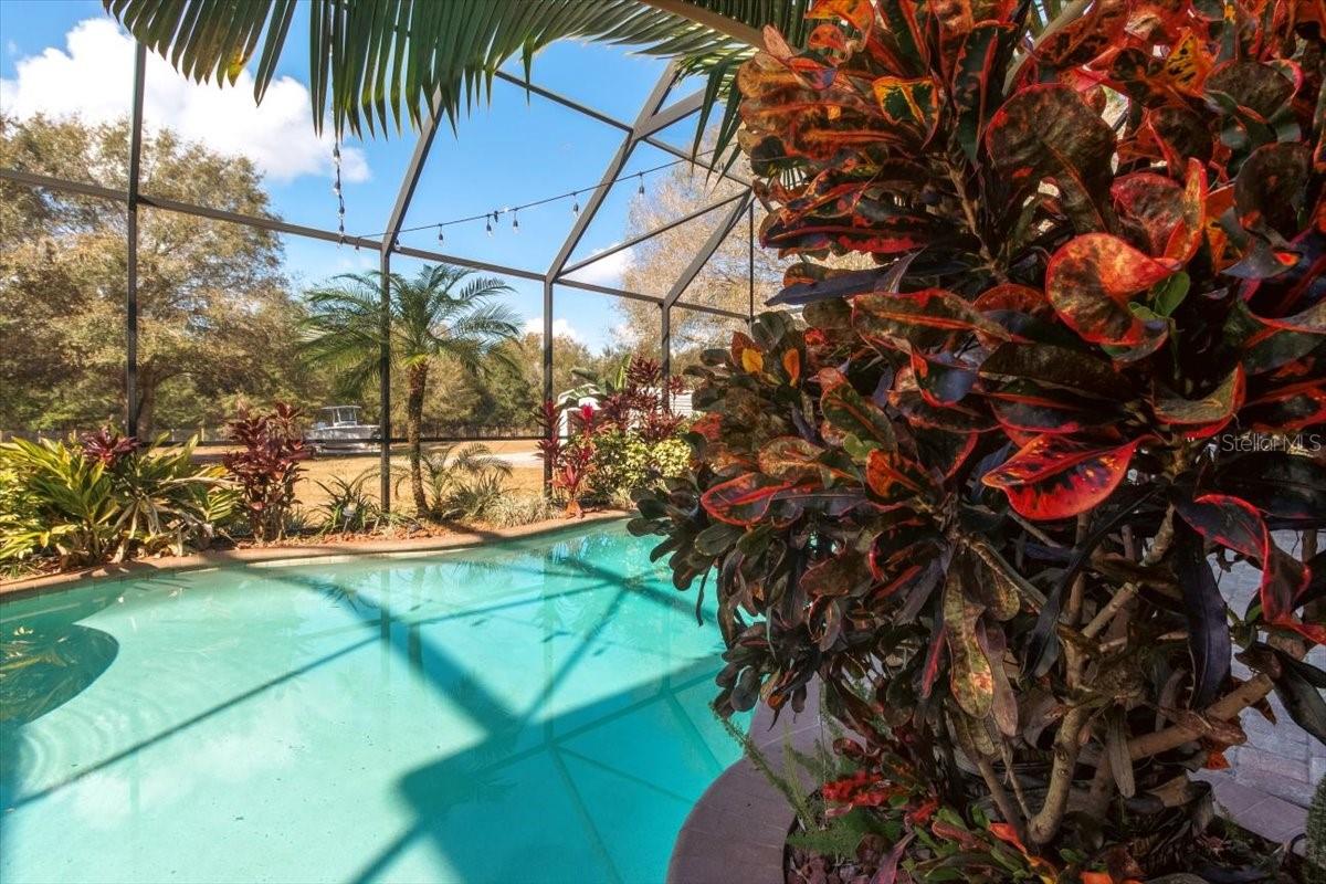 Image 23 of 82 For 6535 Lake Irene Drive