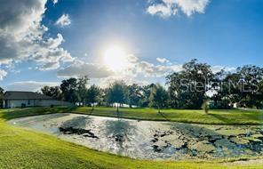 Image 33 of 43 For 725 Timeless Moss Drive