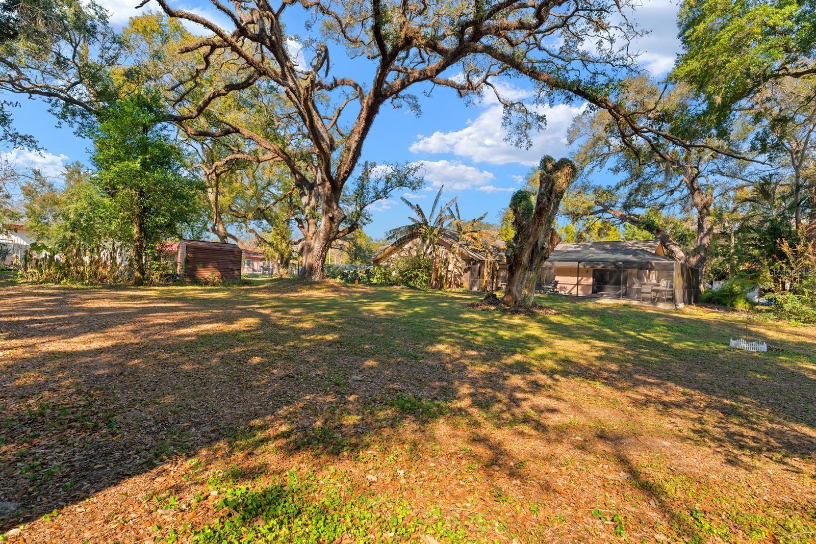 Image 27 of 33 For 2501 Diana Street