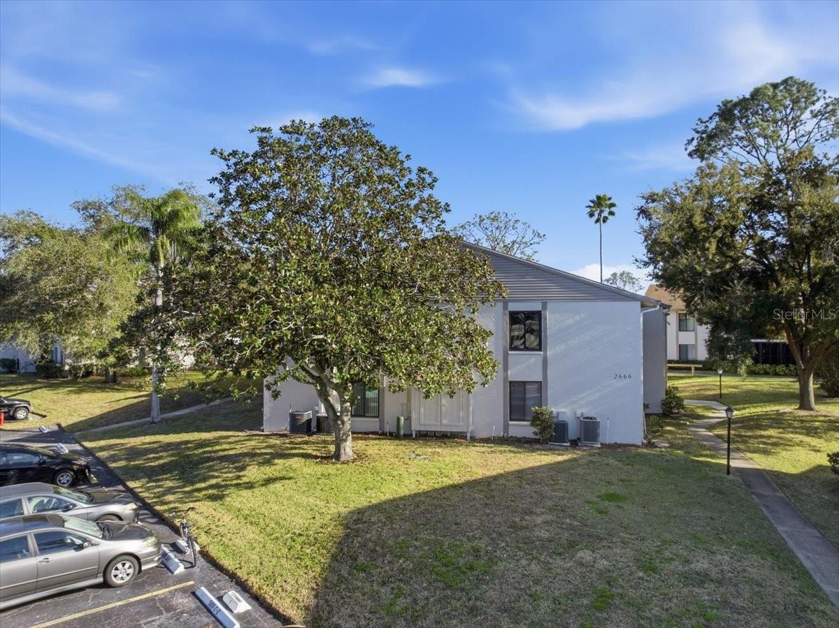 Image 72 of 75 For 2666 Pine Ridge Way N C2