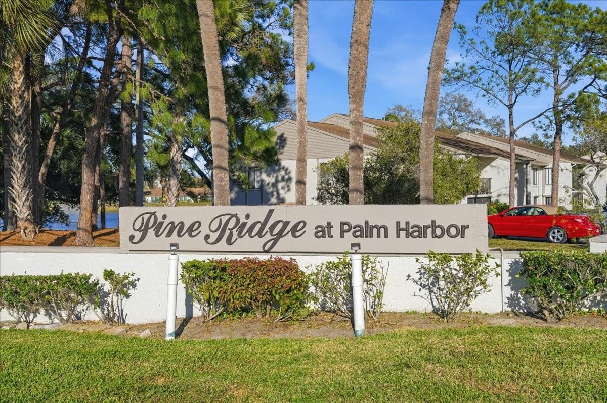 Image 74 of 75 For 2666 Pine Ridge Way N C2