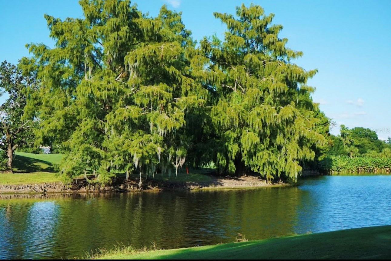 Image 26 of 34 For 6707 Stone River Road 101