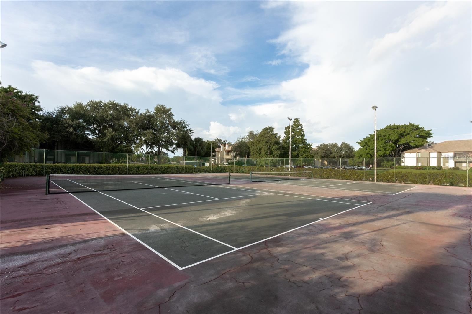 Image 23 of 35 For 10265 Gandy Boulevard N 803