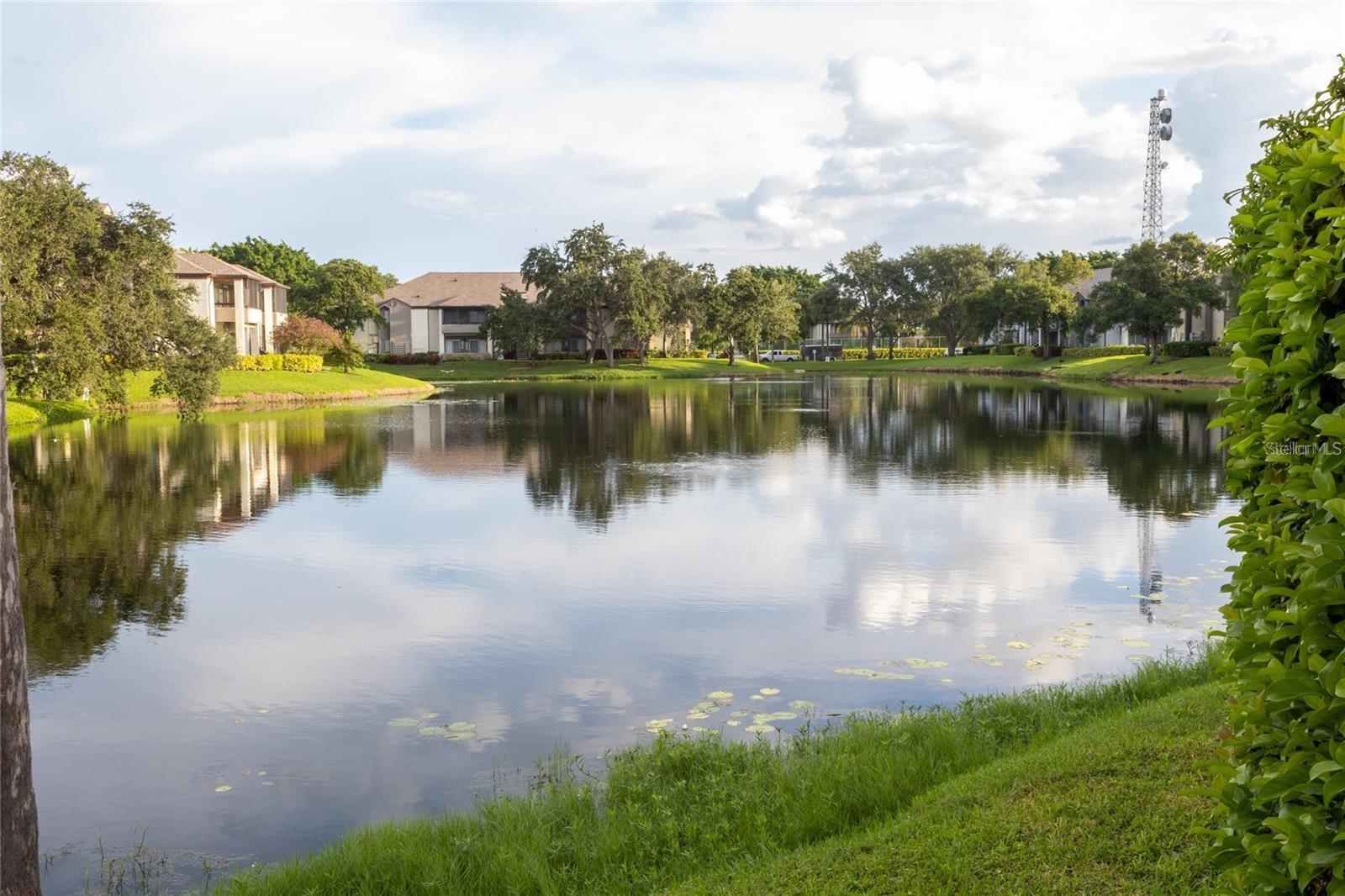 Image 24 of 35 For 10265 Gandy Boulevard N 803