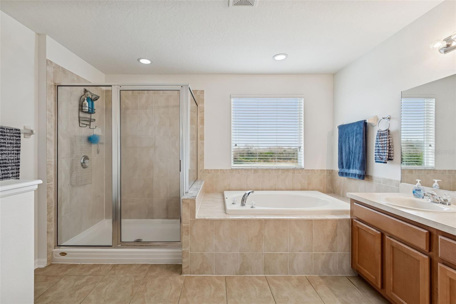 Image 60 of 88 For 9225 Seeger Lane