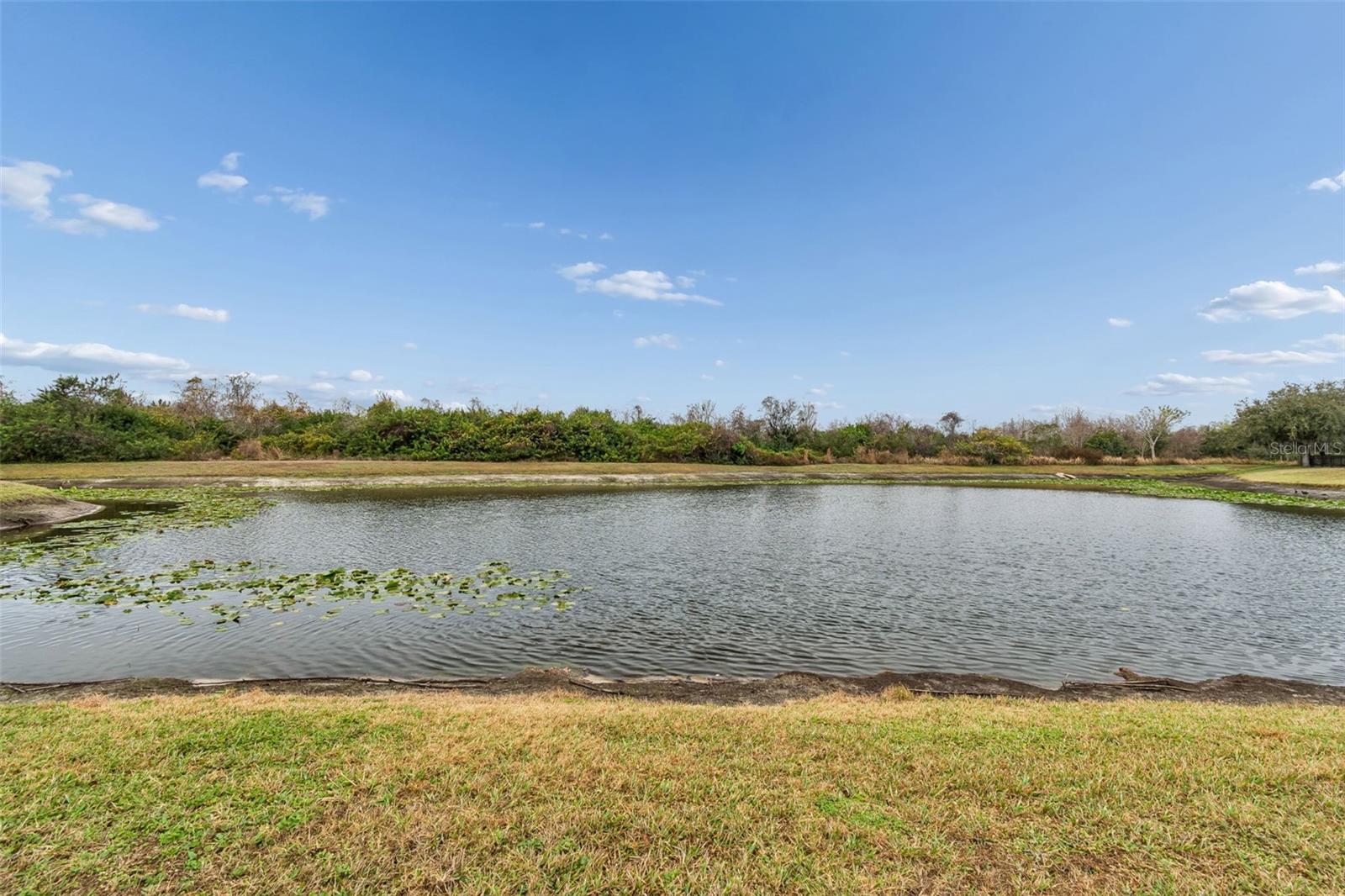 Image 79 of 88 For 9225 Seeger Lane