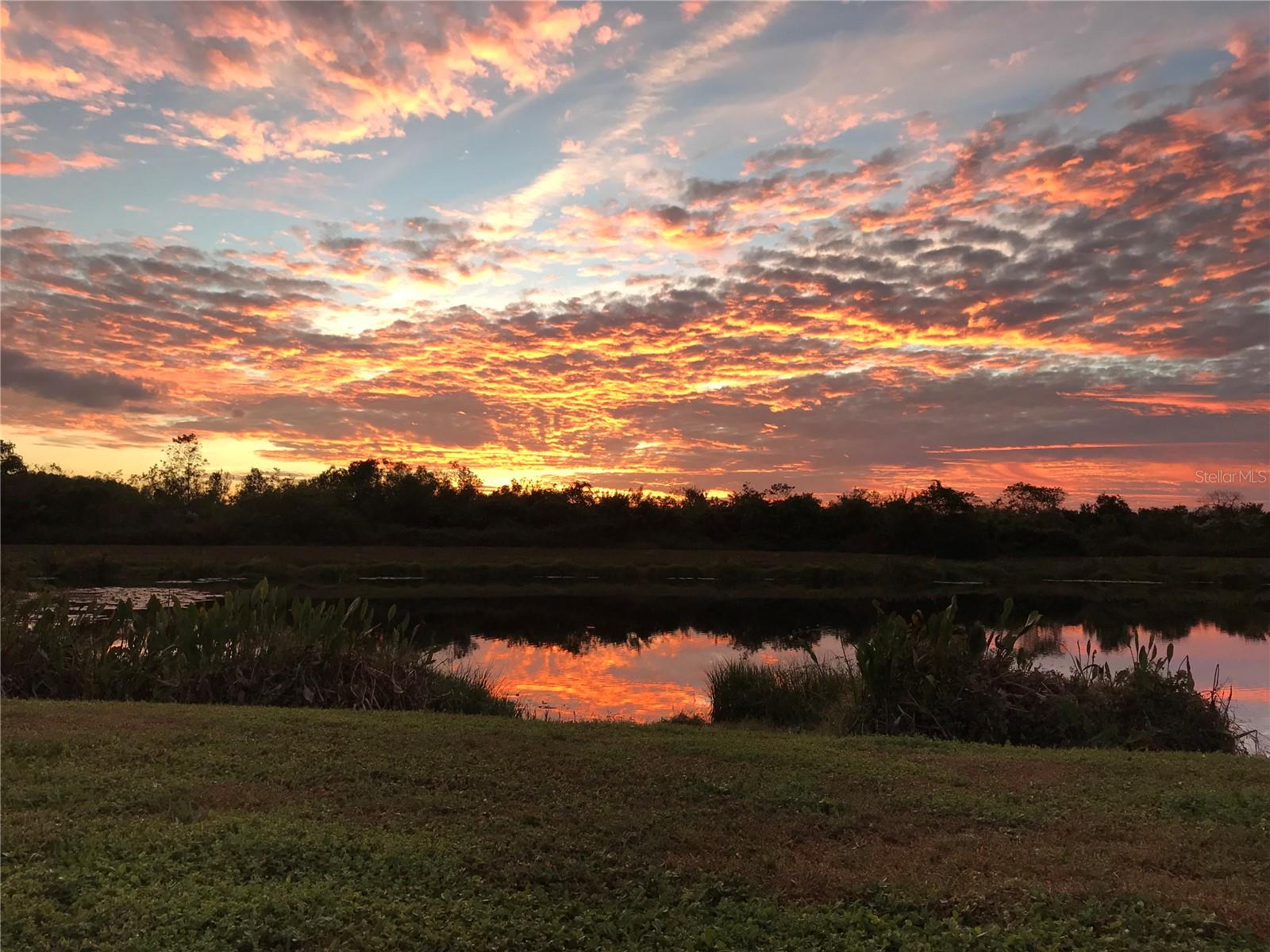 Image 86 of 88 For 9225 Seeger Lane