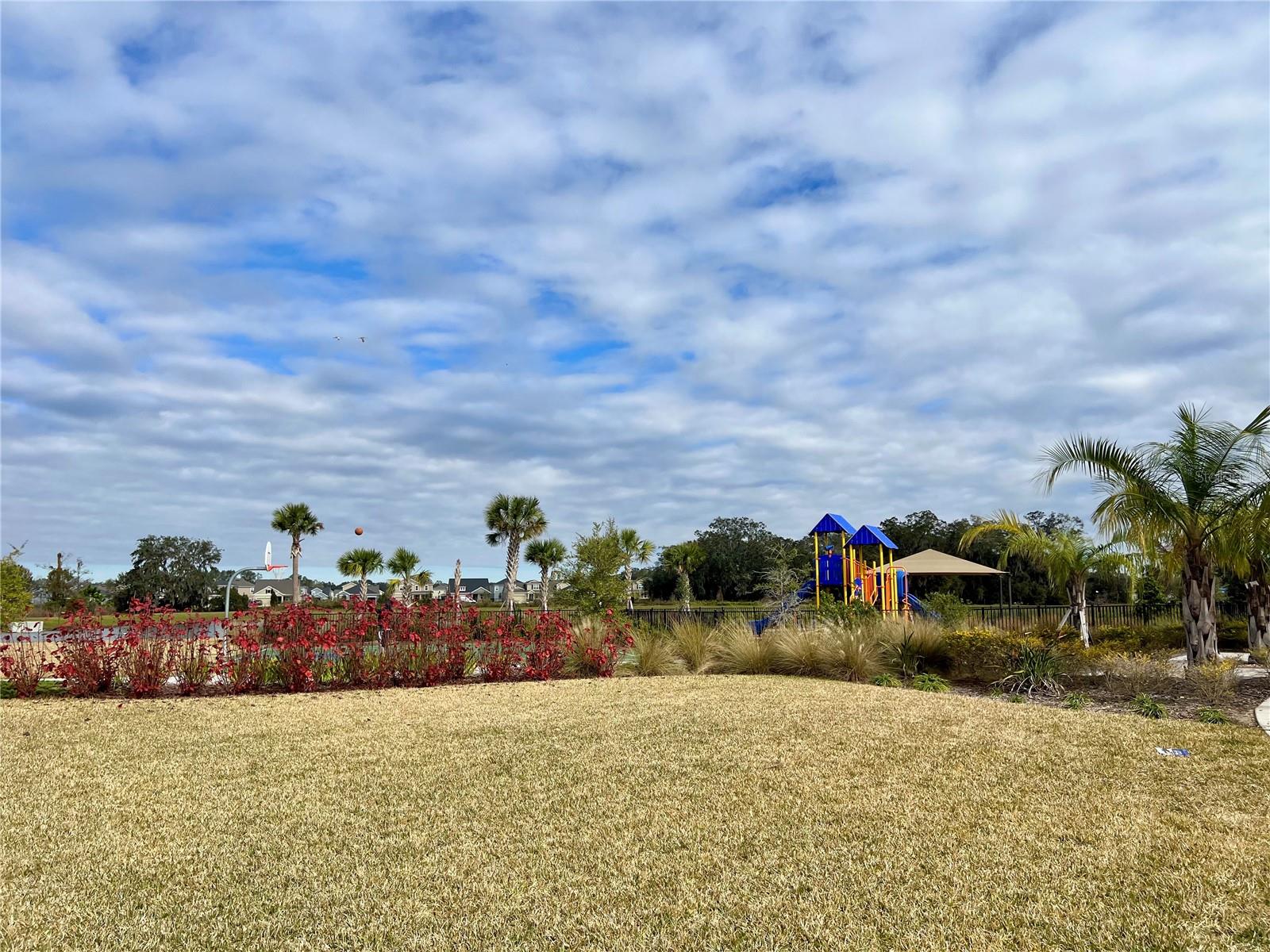 Image 17 of 18 For 2803 Lotus Flower Trail