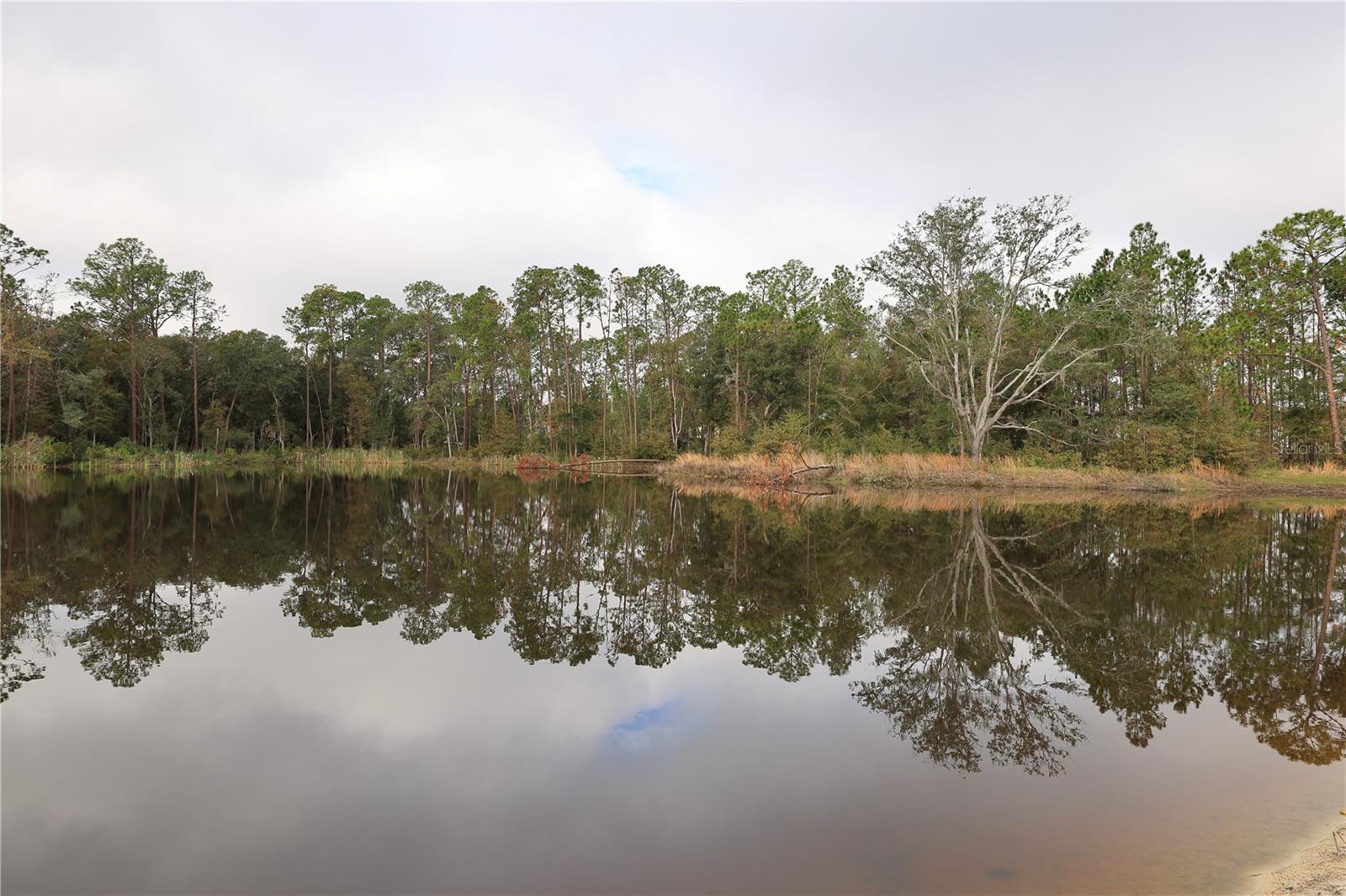 Image 3 of 18 For 2803 Lotus Flower Trail