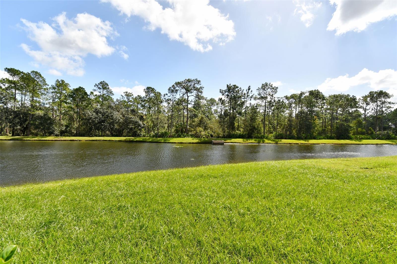 Image 29 of 35 For 20461 Berrywood Lane